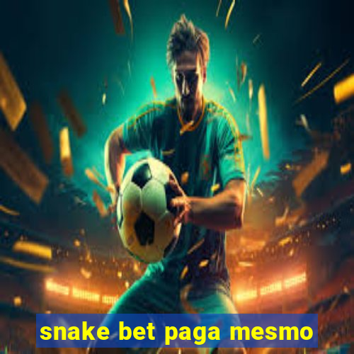 snake bet paga mesmo